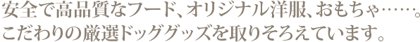 愛するワンちゃんのための、充実のサービスメニュー