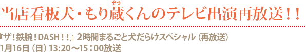 モリ蔵薫テレビ出演