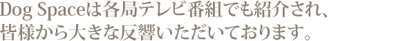 各種テレビ番組で紹介されています。