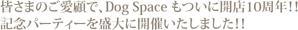 開店10周年記念パーティー