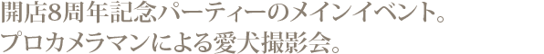 開店8周年記念パーティーの愛犬撮影会