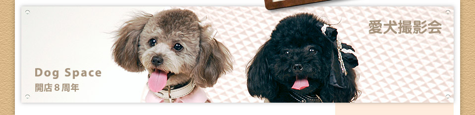 愛犬撮影会