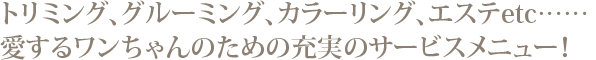 愛するワンちゃんのための、充実のサービスメニュー